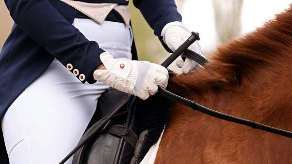 Horse Riding Jackets 