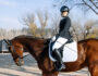 Horse Riding Jackets